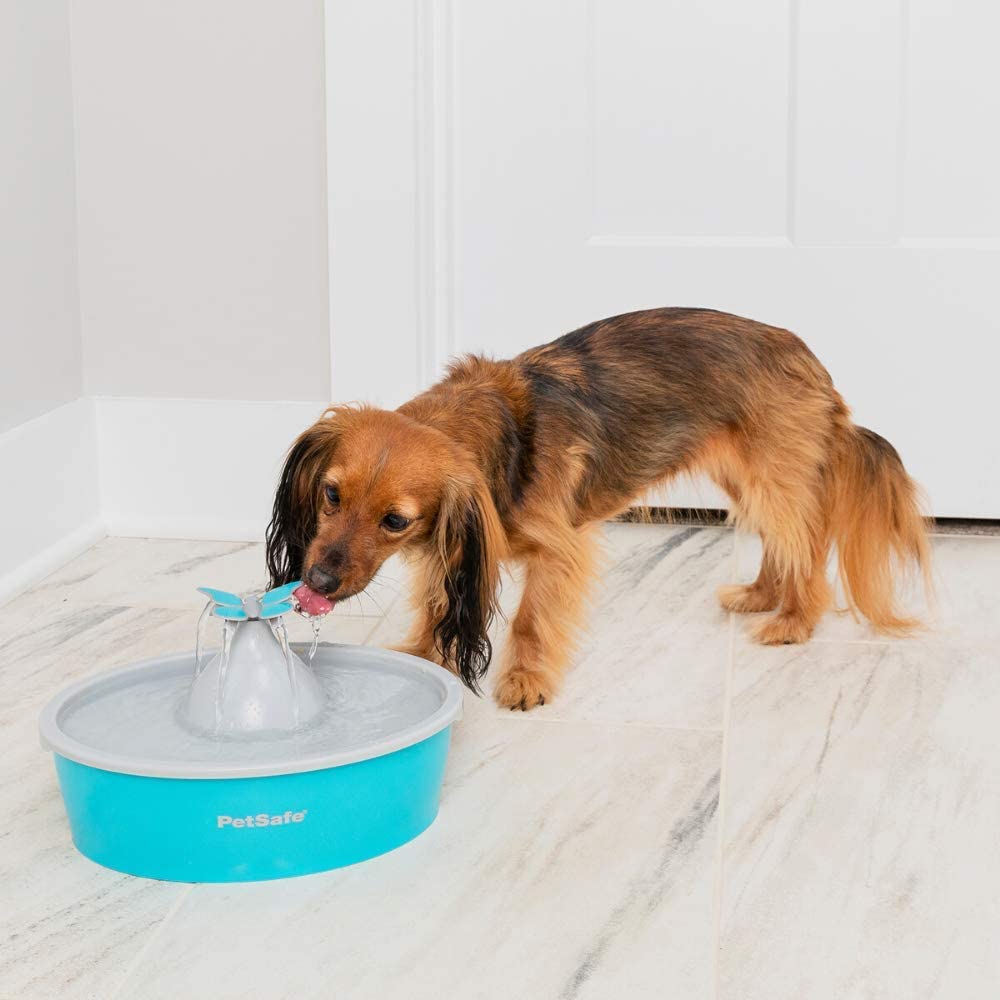 PetSafe Drinkwell Trinkbrunnen Butterfly, 1,5 Liter.