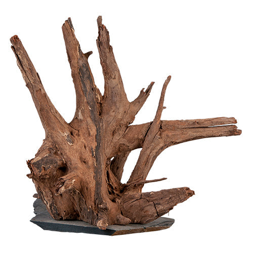 Sera Scaper Wood op leisteen plaat