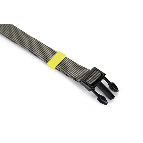 Beeztees Uni Nylon Hondenhalsband - Donkergrijs - Nekomtrek: 35-50 cm