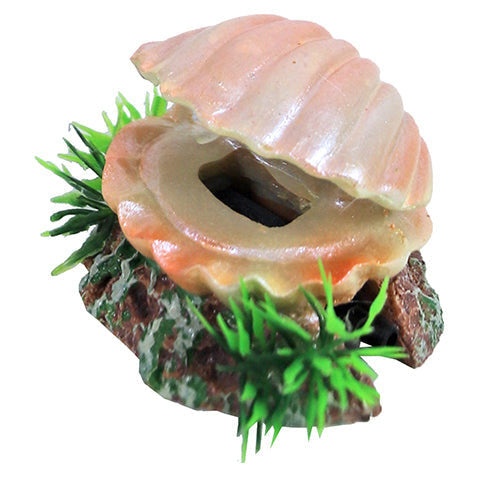 Boon Aqua Deko Ornament Blase - Muschel mit Ausfluss - 5,5 cm