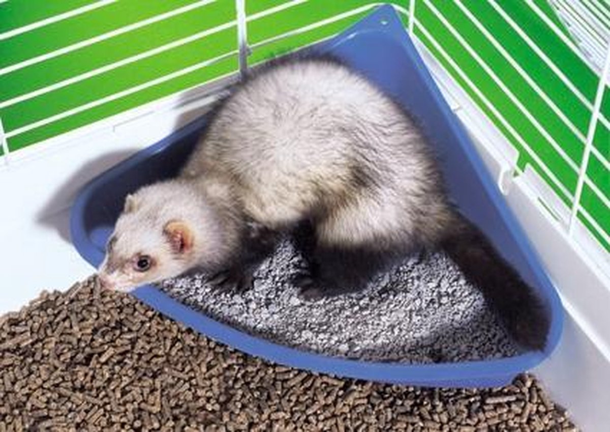 Rody Nagetiertoilette 36 x 28 x 15 cm