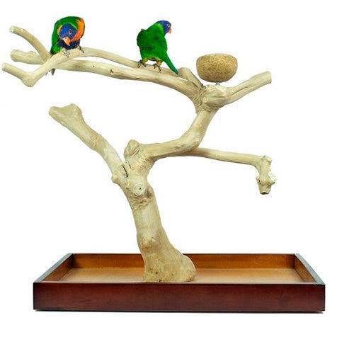 Back Zoo Nature Java speel stand