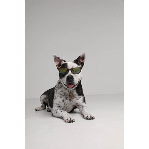 Tickless Ultrasoon Afweermiddel tegen Teken en Vlooien bij Honden - Standaard Versie - Verkrijgbaar in verschillende varianten