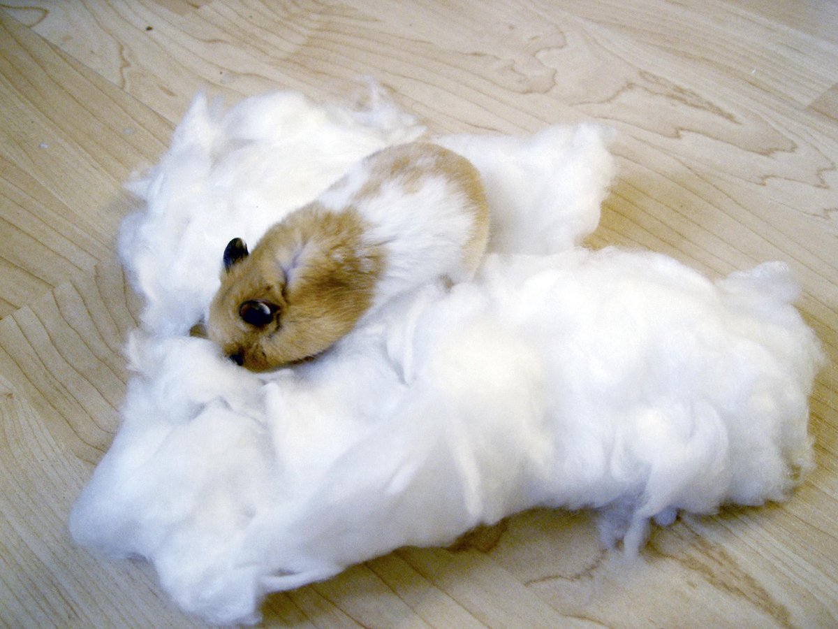 Knaagdierwatten eetbaar - Wit 30gr