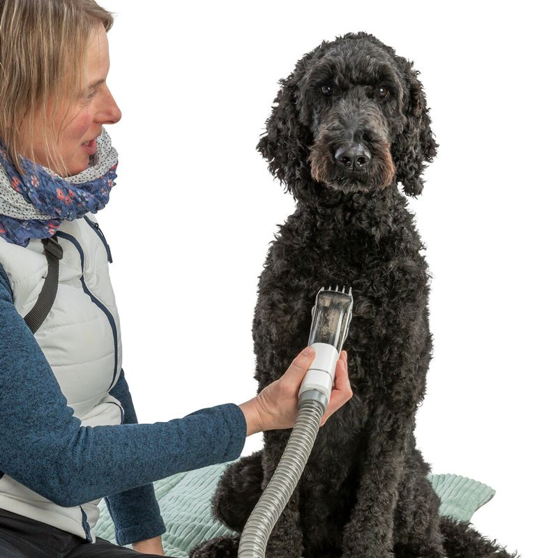 Trixie Grooming Kit, zuiger met tondeuse & borstels, 2 l, 600 W