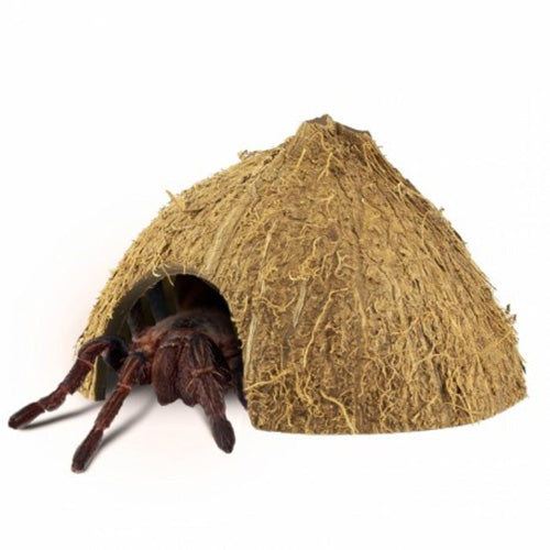Back Zoo Nature Coco Hiding Cave - Afmetingen: 8 - 12 cm