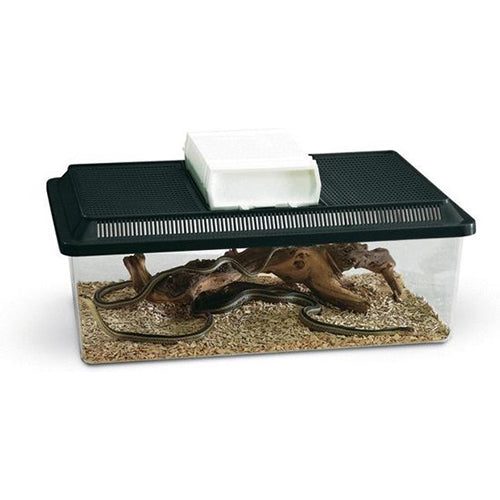 Savic Wildlife Terrarium Box – Maße: 50,5 x 30,5 x 18 cm