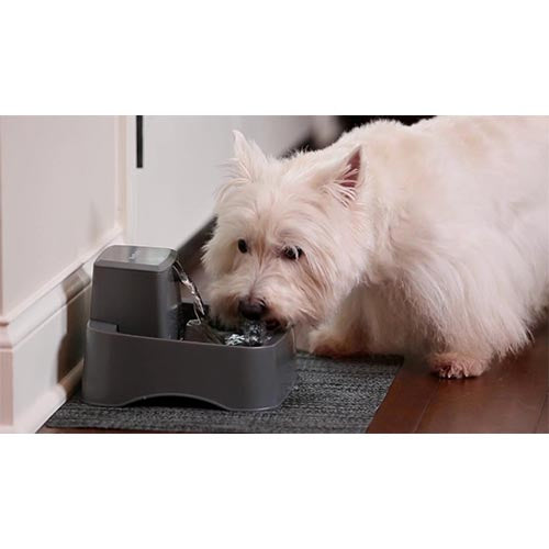 PetSafe Drinkwell drinkfontein, 1,8 liter