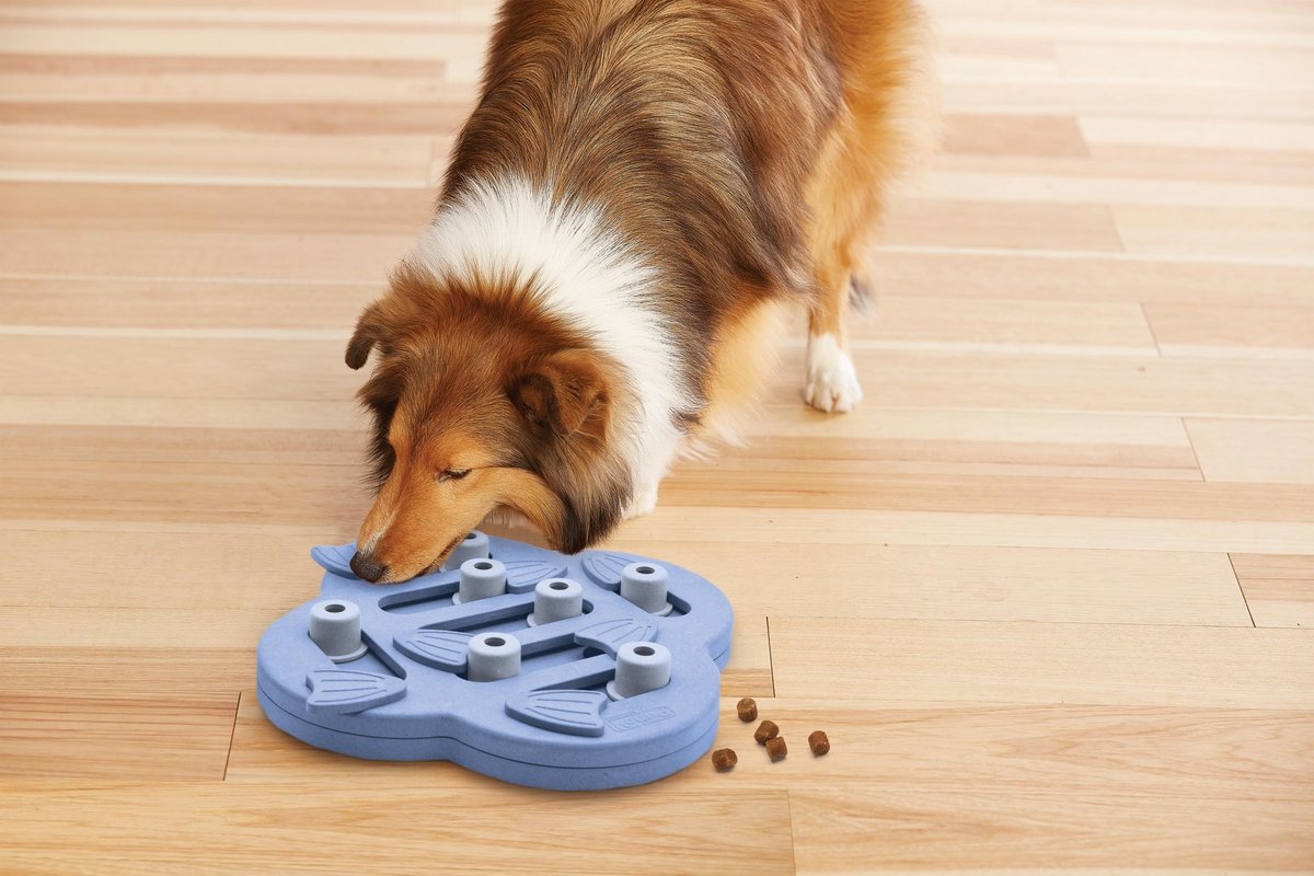 Nina ottosson dog hide n slide composiet 33x33x5 cm