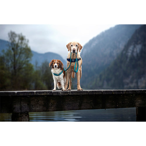 Coralpina leiband Cinquetorri