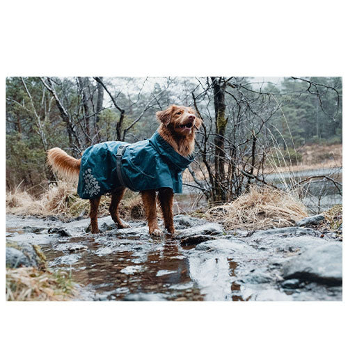 Hurtta - Hundemantel - Regenmantel - Monsun - Brombeere - Heidelbeere