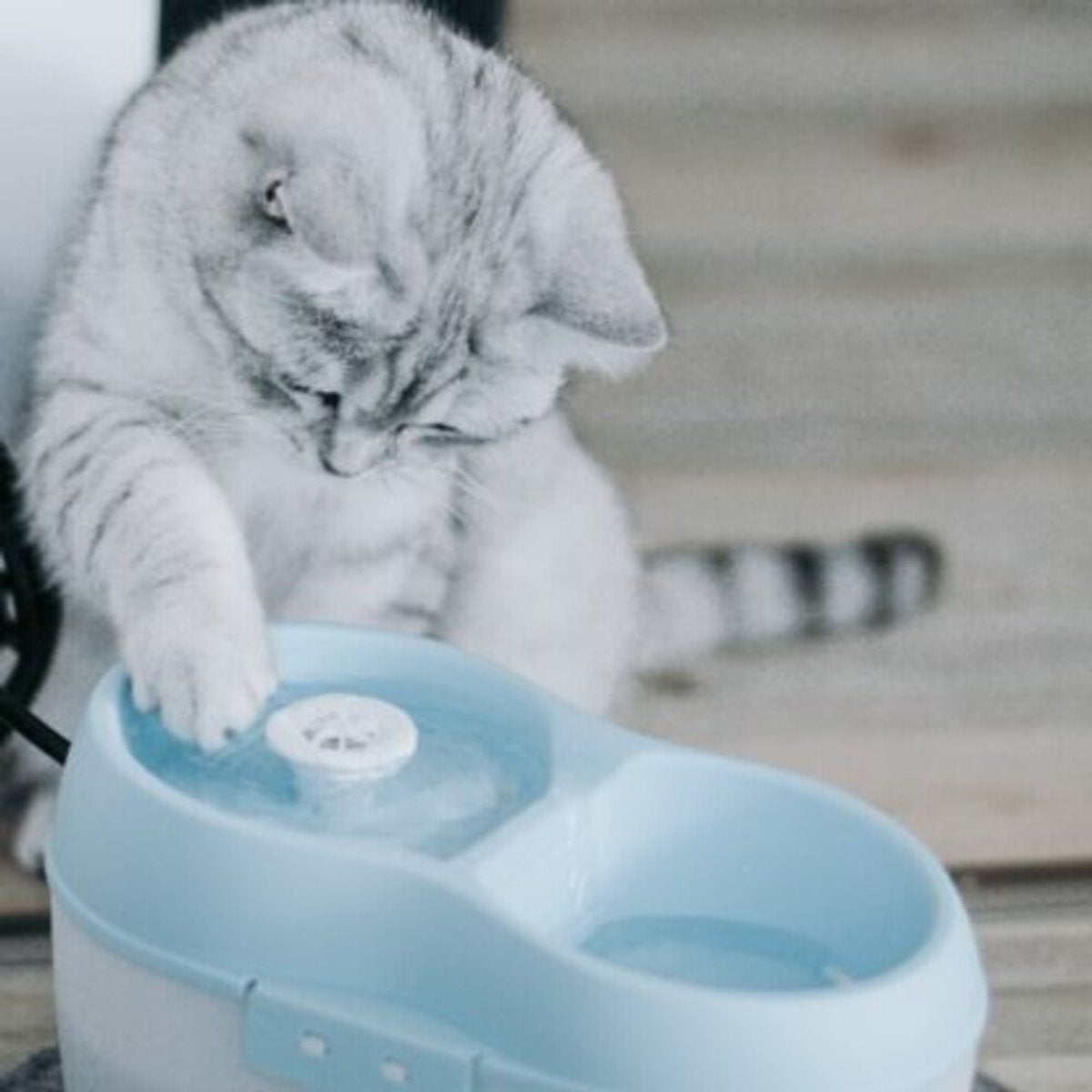The Boon Wassernapf Trinkbrunnen Katze H20 2L