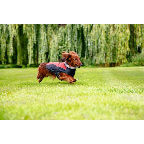 Beeztees Saby Waterproof Hondenjas - Rood/Zwart - Ruglengte: 24 cm