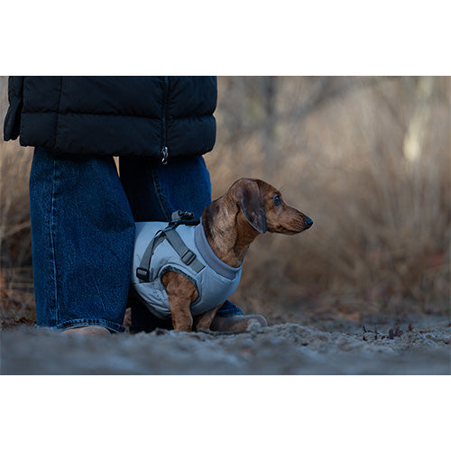 Jack and Vanilla Dogwalk Jacket Harness London - Hondenjas met Harnas - Grijs - Verkrijgbaar in 7 maten