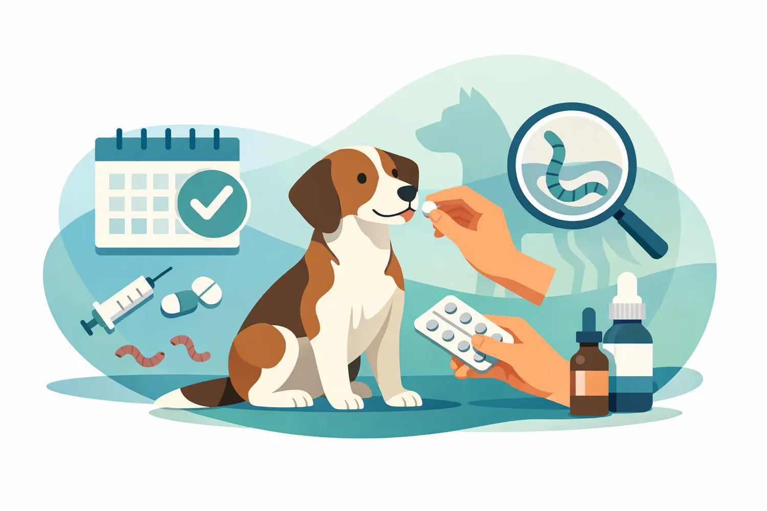 Hoe vaak hond ontwormen? Dit is het schema
