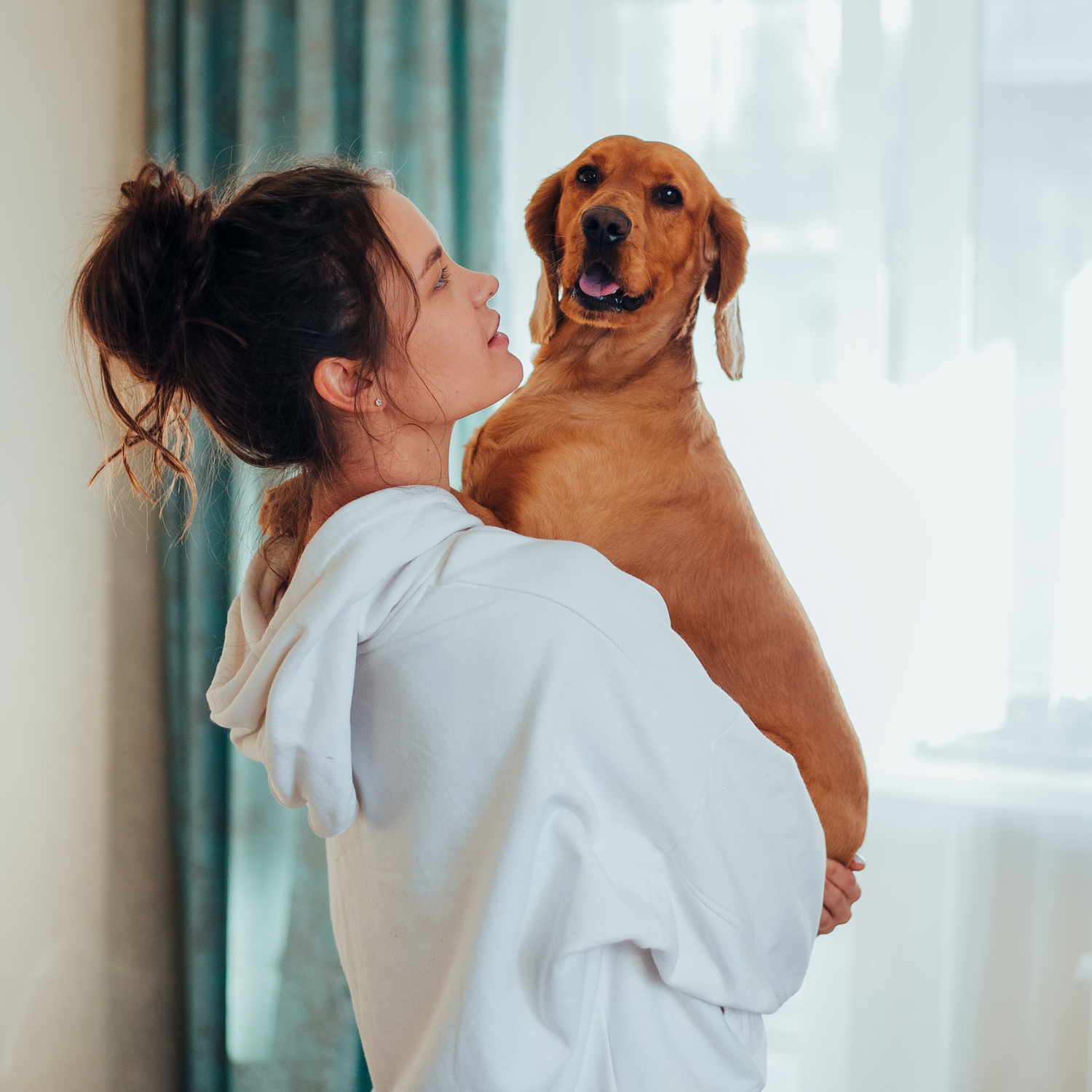 Waarom Jouw Huisdier Stijlvolle Kleding Verdient