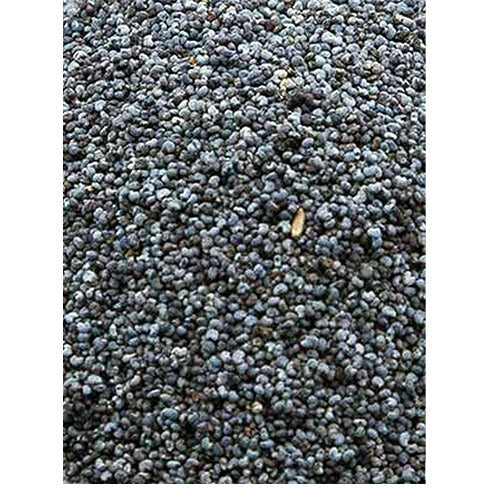 Blaumohn im Beutel 0,8 - 25 kg