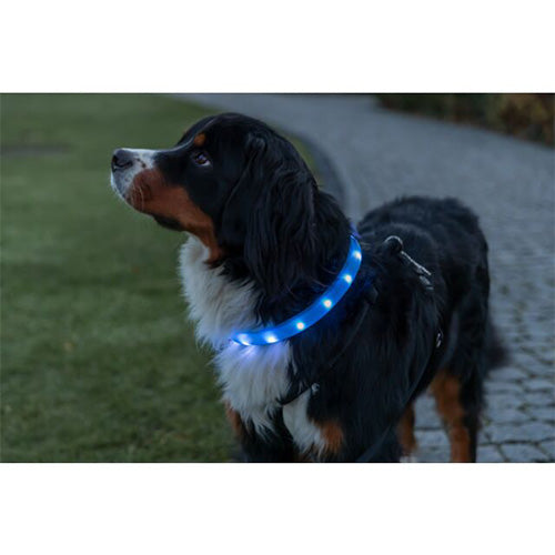 Trixie Flash Lichtgevende Halsband USB - Extra Breed - Kleur: Blauw - 3 MM Breed - Verkrijgbaar in 50 of 70 cm