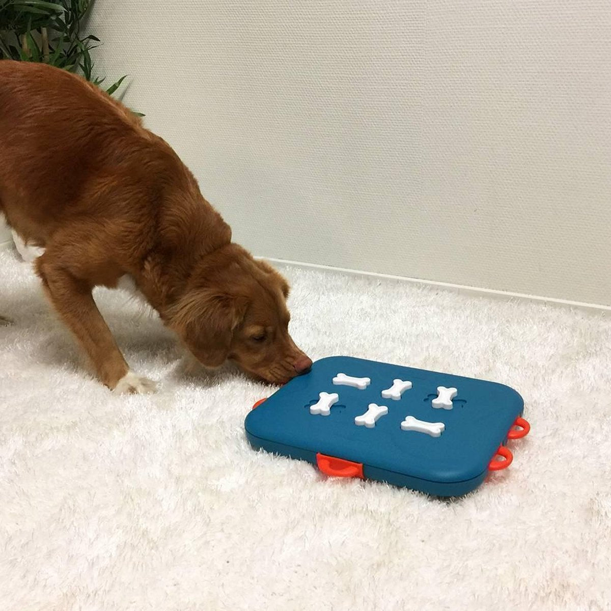 Nina Ottosson Dog Casino - Turquoise/Oranje - 31,5 x 26 x 4,5 cm