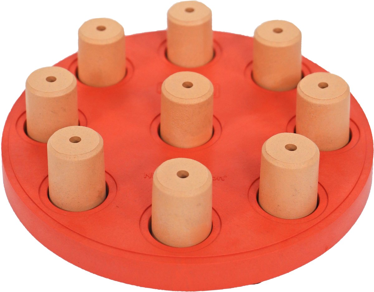 Hondendenkspel Nina Ottosson dog smart composite