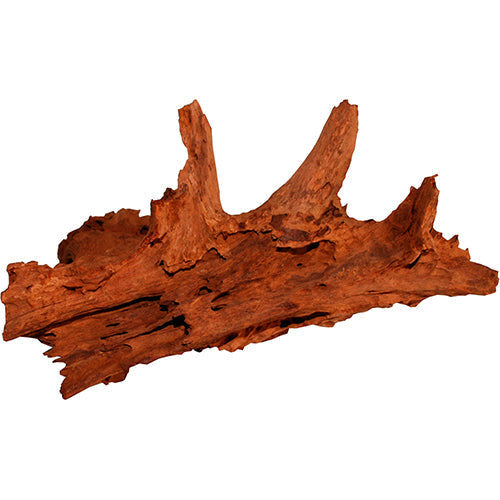 Pro Reptil mangrovehout M - L