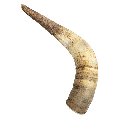 Jack and Vanilla veehoorn in 3 maten