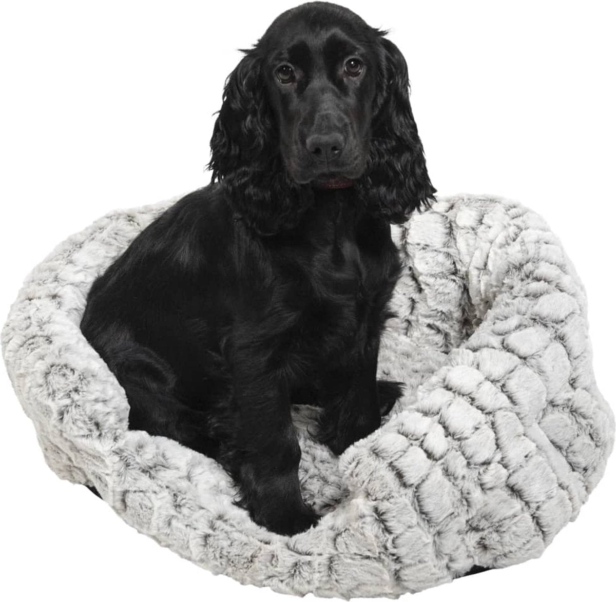 Jack and Vanilla snakeskin mand