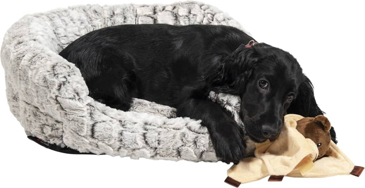 Jack and Vanilla snakeskin mand