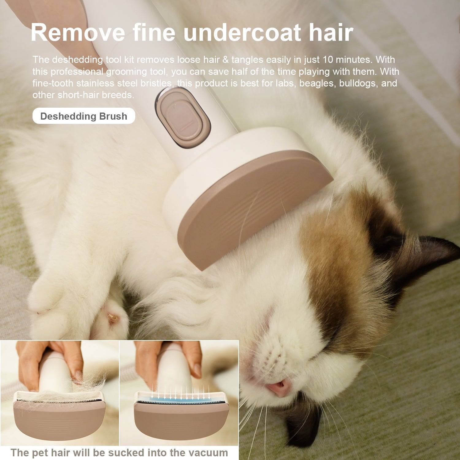 GD. EDI Complete vachtverzorgingskit luxe voor Honden, Stofzuiger & Tondeuse in Één- 3,2 liter - 6 in 1 luxe