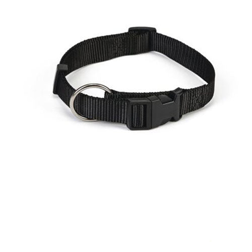 Verstellbares Hundehalsband aus Nylon – Schwarz – Verstellbar zwischen 22–35 cm – Breite 1 cm