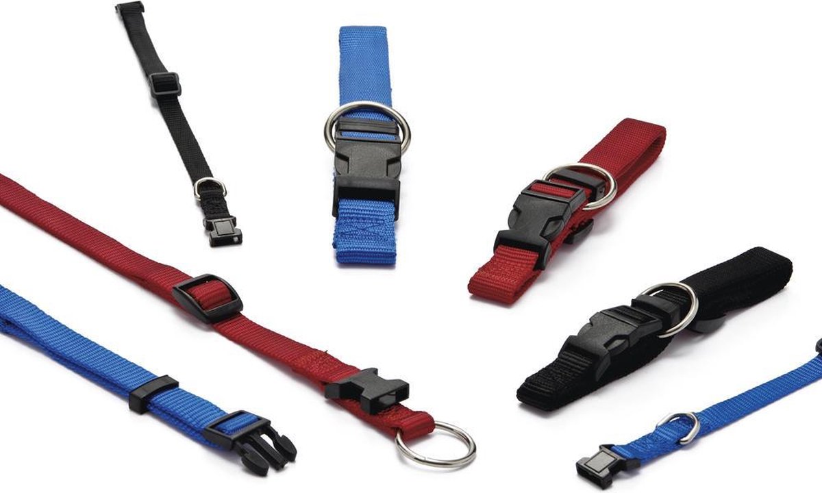 Beeztees - Verstelbare Nylon Honden Halsband - Rood - Nekomtrek tussen 22-35 cm - Breedte Halsband 1 cm