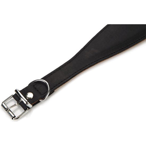 Beeztees Rondo Halsband voor Windhonden - Nekomtrek: 36-44 cm