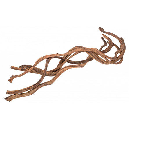 Pro Reptil Liaan natuur  - 3 maten