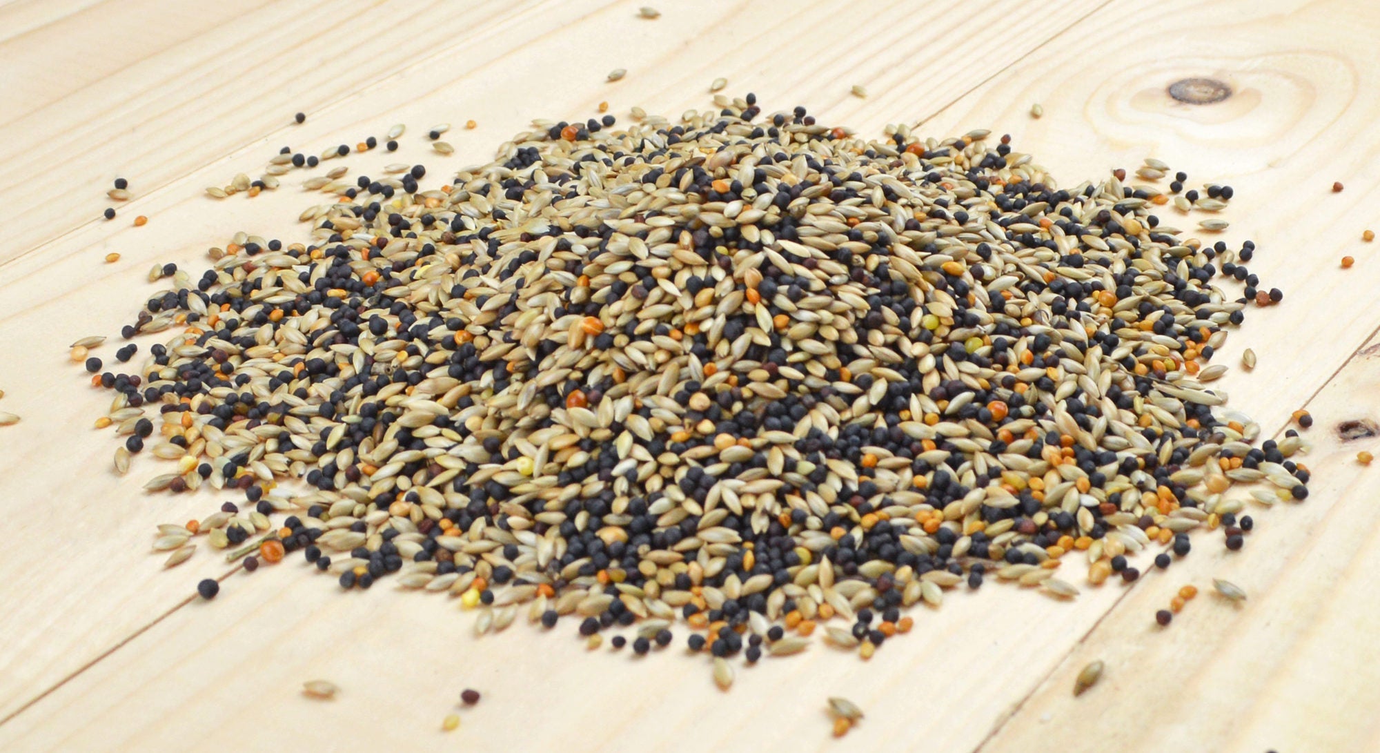 Vogelfutter Bird-X Finkenmischung