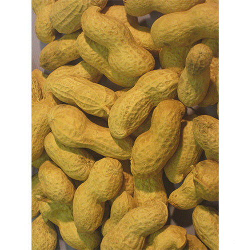 Arachiden Usa/China ongepeld 0,9 - 10 kg