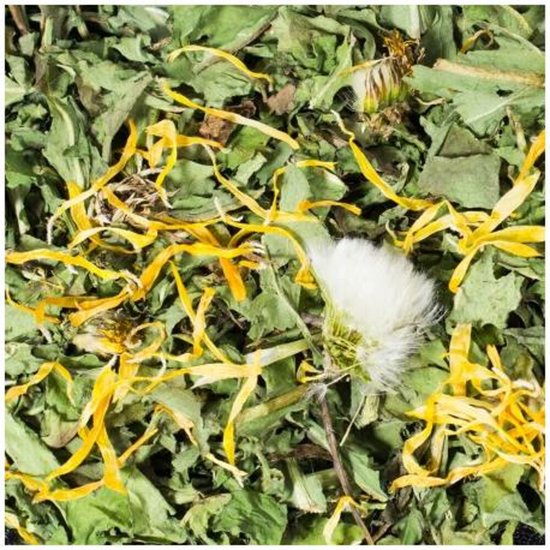 Paardenbloem Kruiden 500Gr Jr Farm