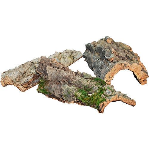 Pro Reptil kurkplaat in 2 maten