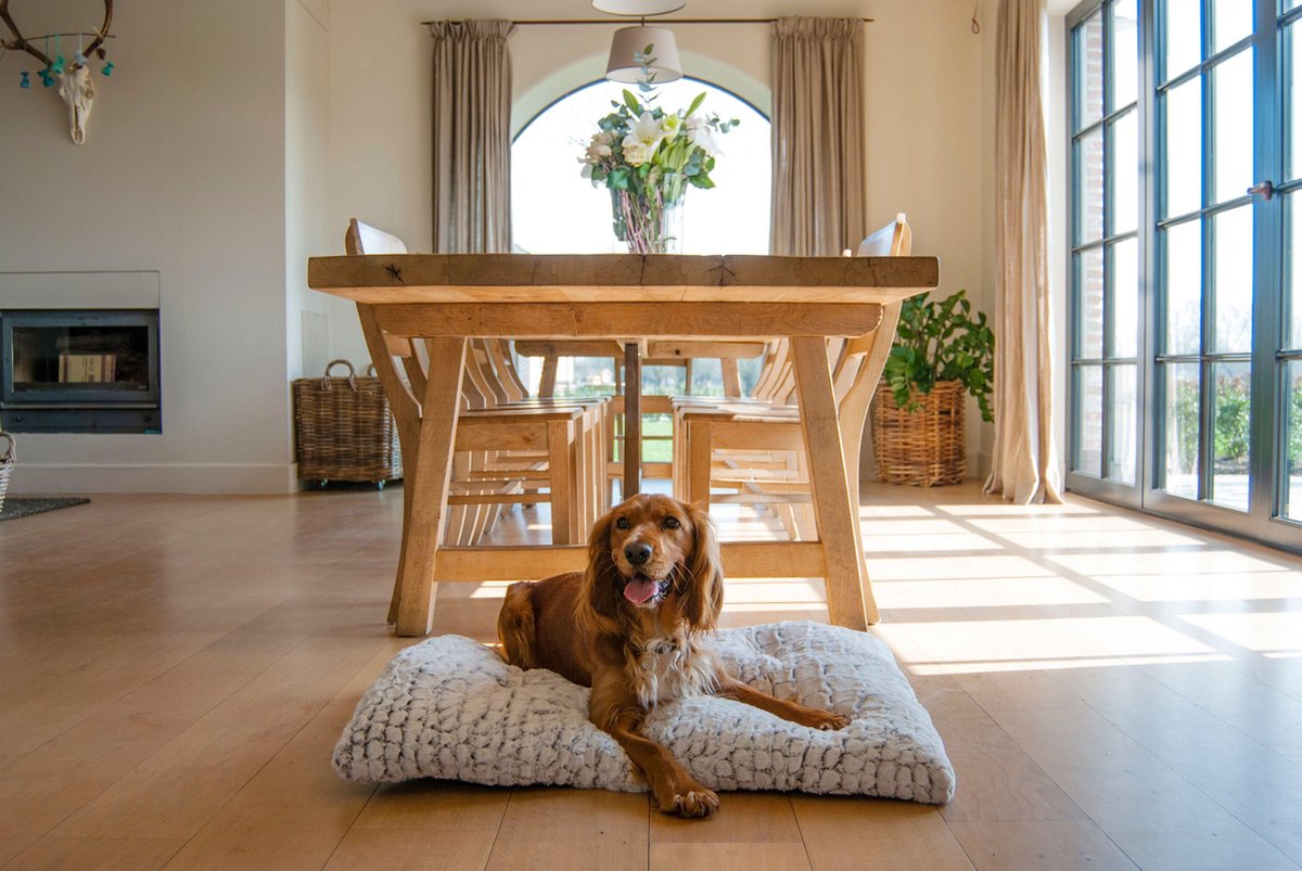 Jack and Vanilla snakeskin kussen grijs