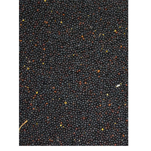 Koolzaad in zak 0,9 - 20 kg