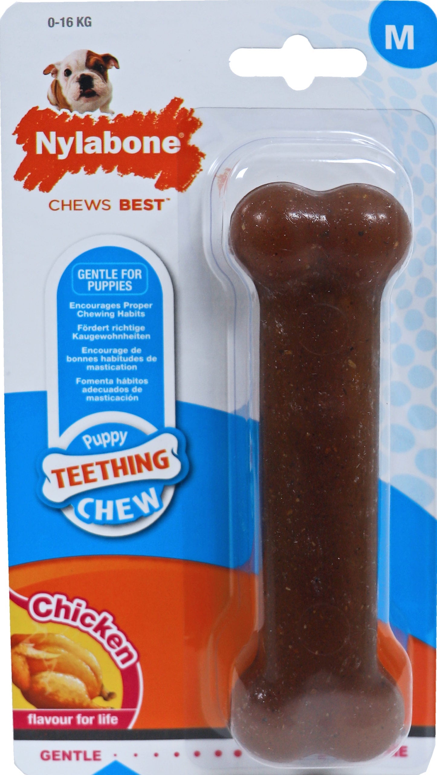 Nylabone Puppy chew - kauwbeen regular