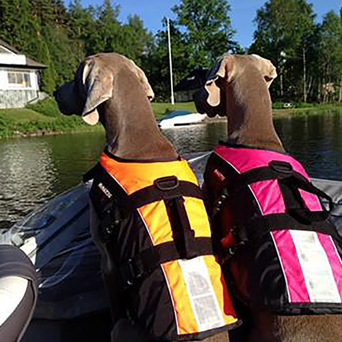 Baltic Hondenzwemvest Mascot - Verkrijgbaar in 4 kleuren en 6 maten