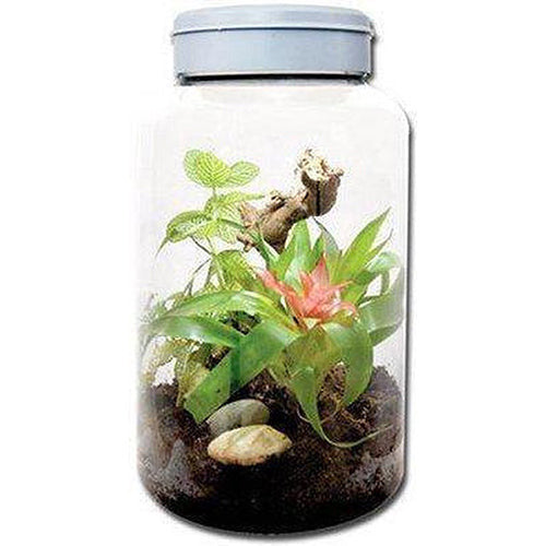 Insect Tarrium 5L