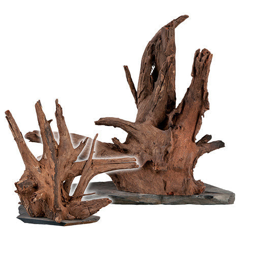 Sera Scaper Wood op leisteen plaat