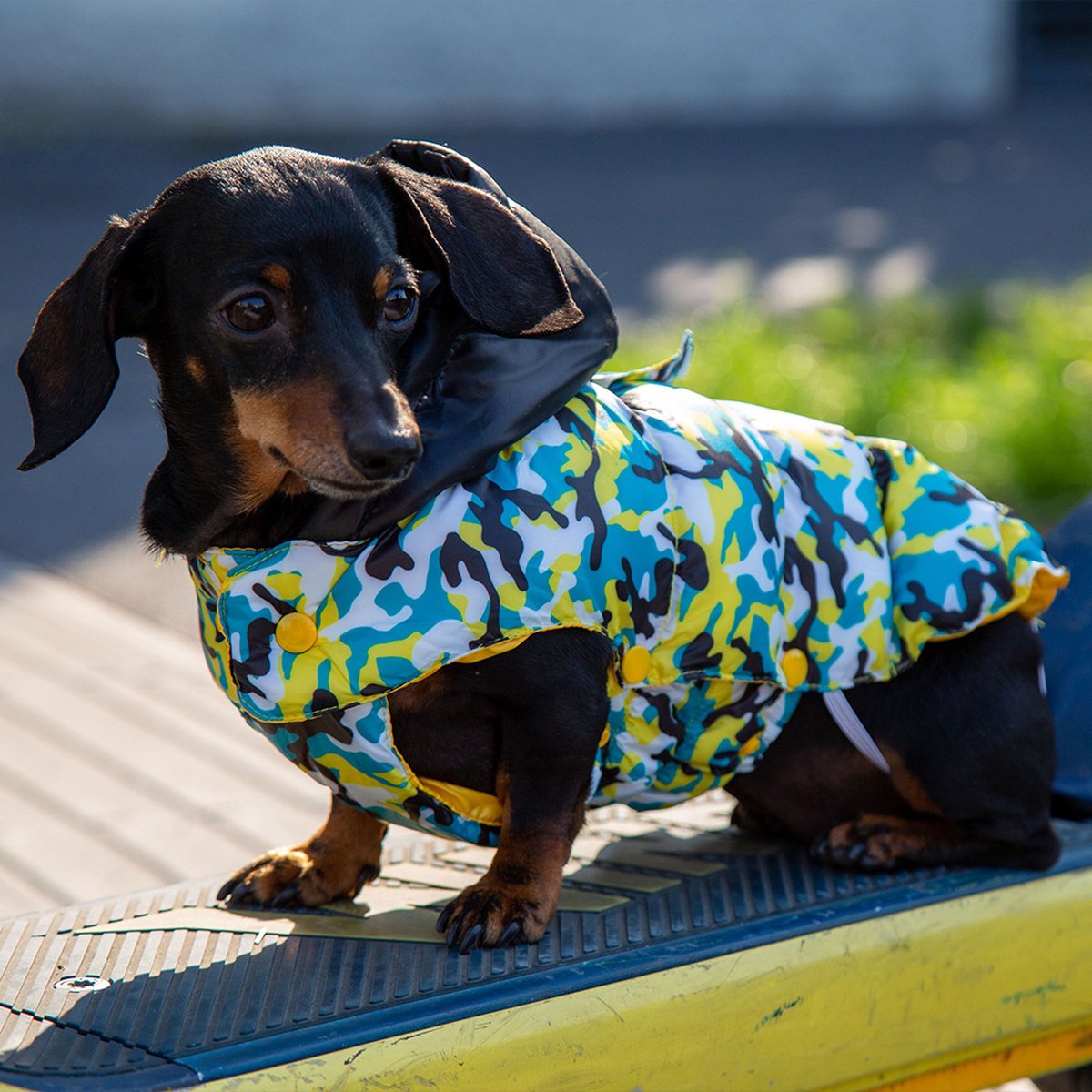 Croci hondenjas kinky camouflage