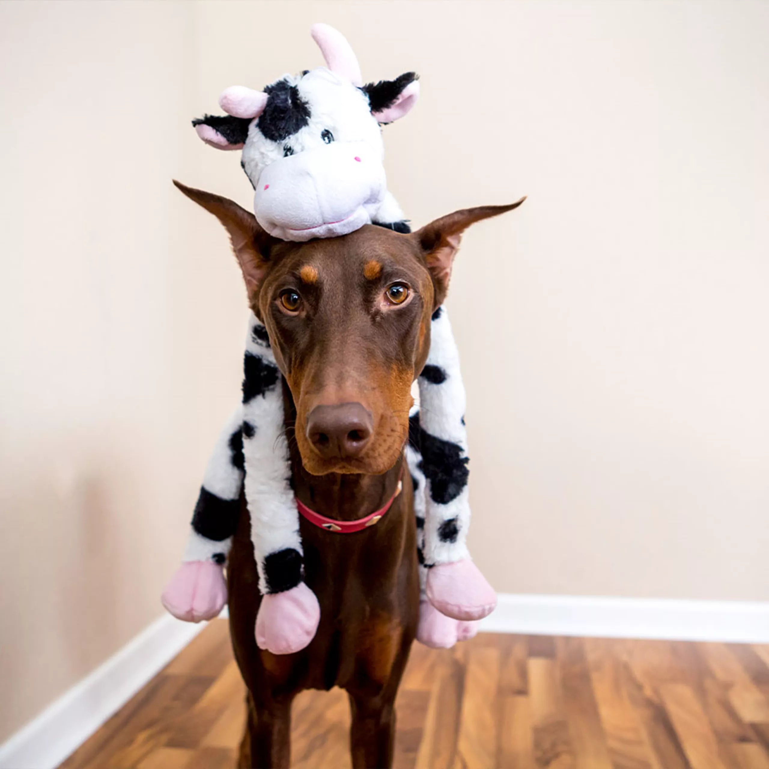 Multipets Swingin' Levins koe zwart wit roze 68 cm