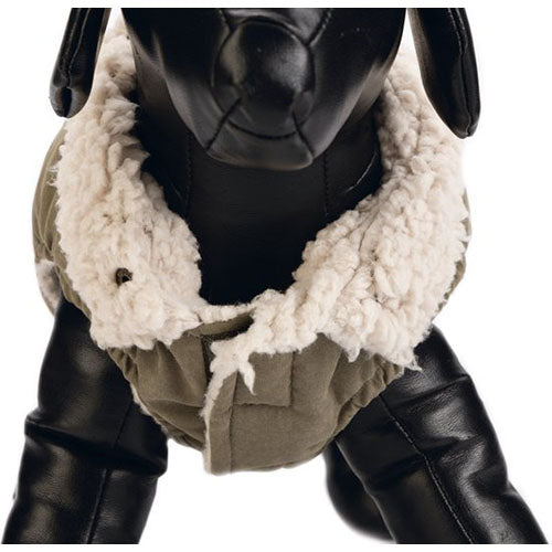 Designed by Lotte Philos Hondenjas Maat XS: ruglengte 20 cm