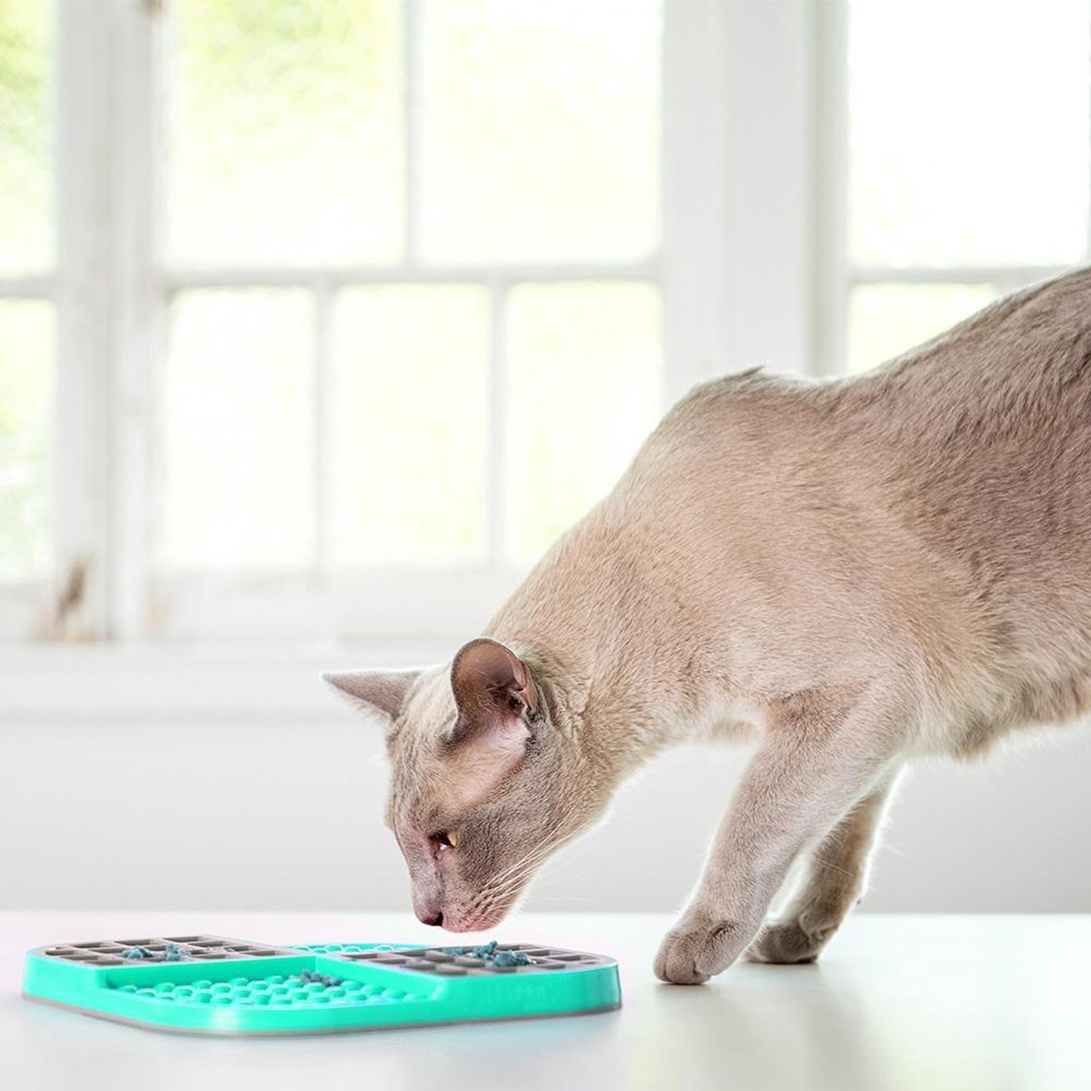 Lickimat Slomo - slowfeeder voor kat en kleine hond - tegen schrokken - turquoise