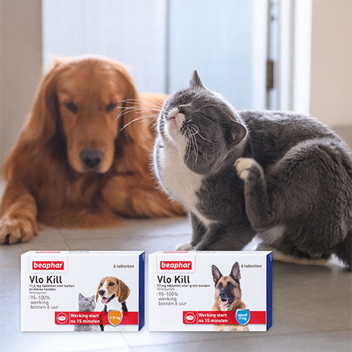 Beaphar Flea Kill – Tötet Flöhe bei Hunden und Katzen – Erhältlich für Hunde und Katzen
