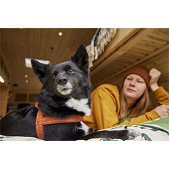 Hurtta harnass hondentuigje Casual Eco - diverse kleuren en maten