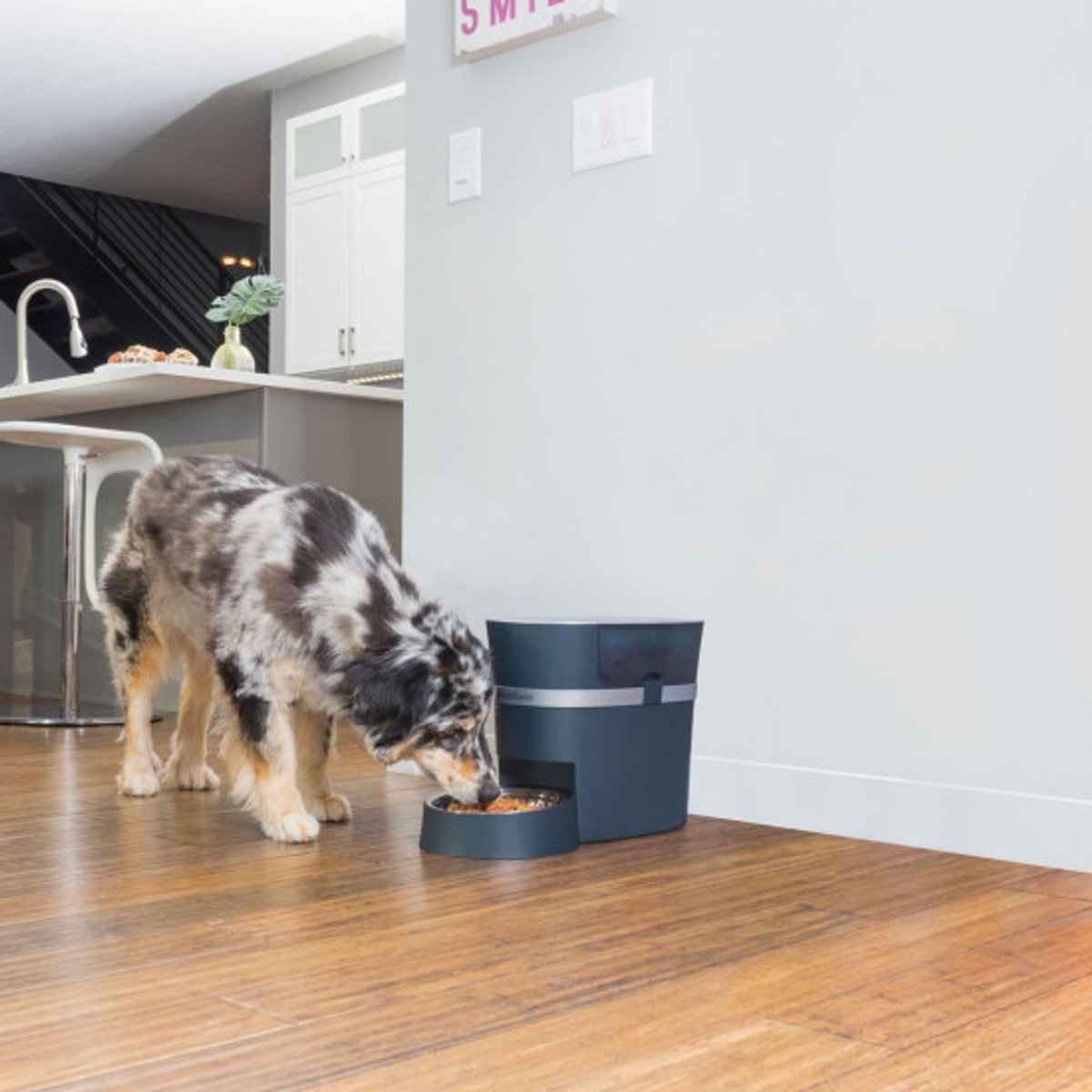 PetSafe® Smart Feed Automatic Pet Feeder - Met Wifi & APP bediening